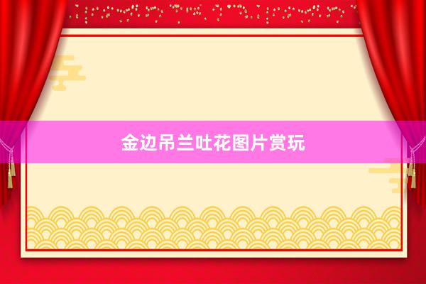 金边吊兰吐花图片赏玩