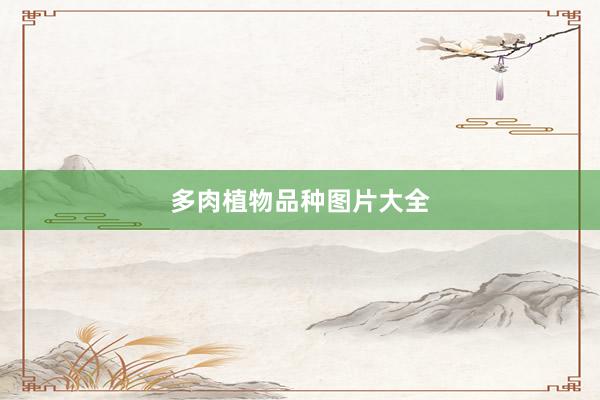 多肉植物品种图片大全