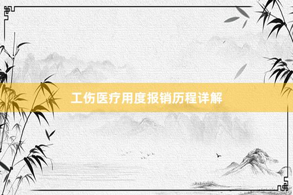 工伤医疗用度报销历程详解