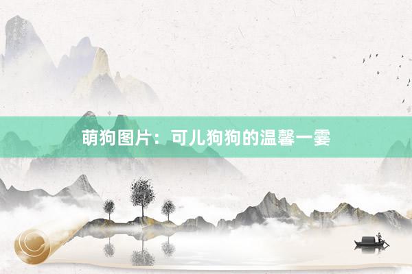 萌狗图片:可儿狗狗的温馨一霎