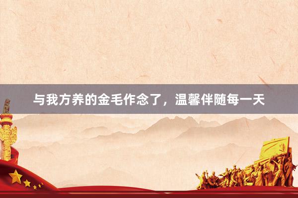 与我方养的金毛作念了，温馨伴随每一天