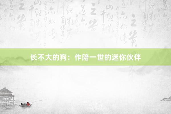 长不大的狗：作陪一世的迷你伙伴